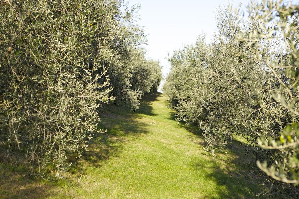 Agriturismo Marani Arcugnano Exterior photo